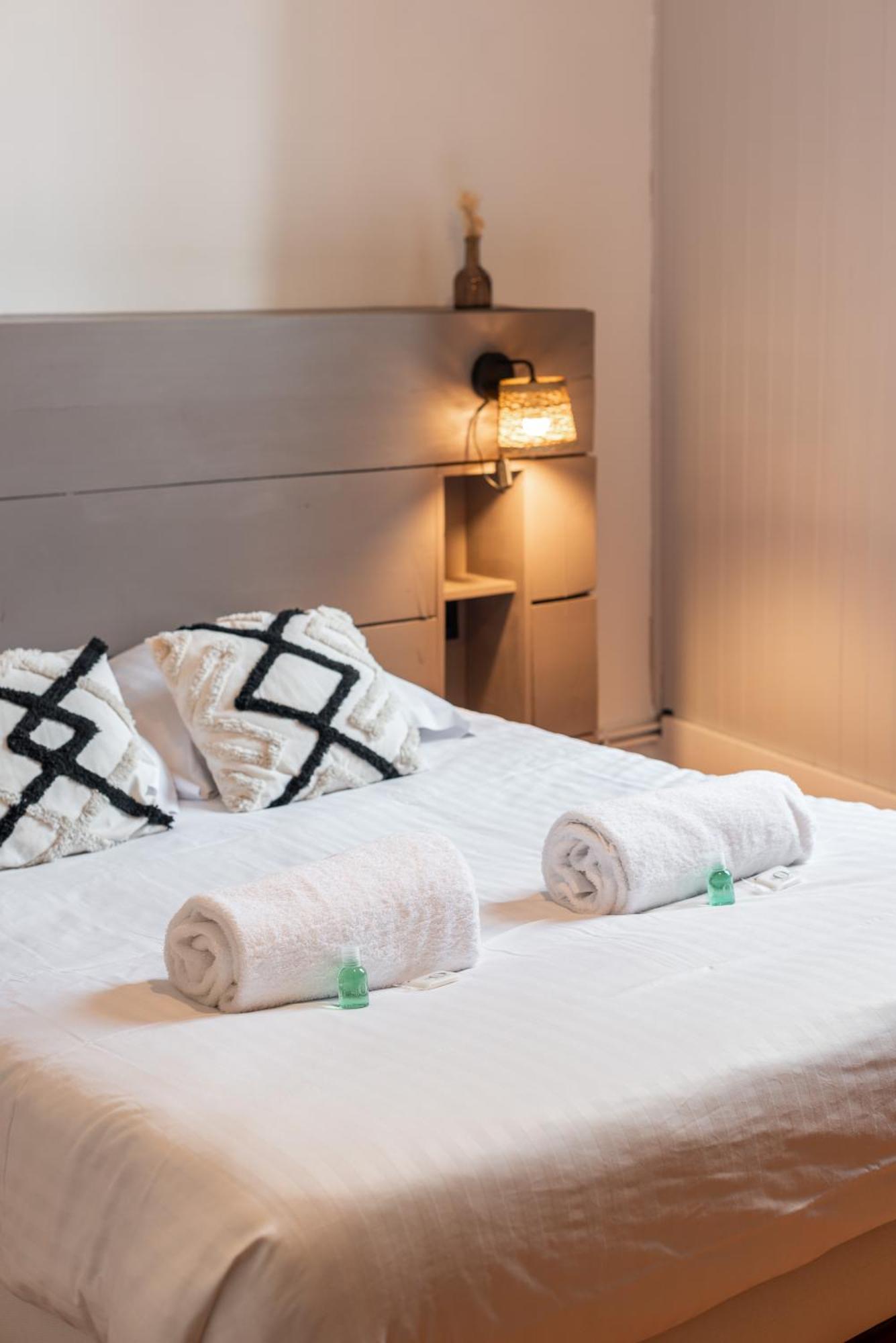 Appartement Spacieux Et Chaleureux Coeur De Ville Chambery Bagian luar foto